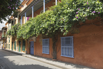 Flowers and colonial architecture as seen in Cartagena, Colombia