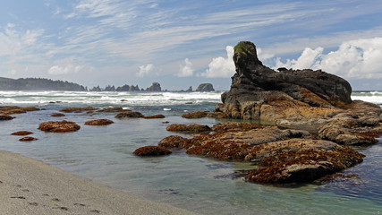 Pacific Northwest Coast