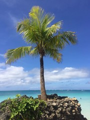 Palmdreams at Philippines