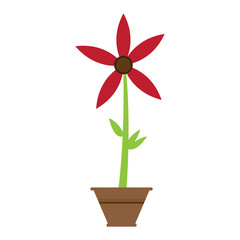 Cute flower on a pot