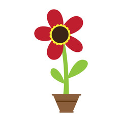 Cute flower on a pot