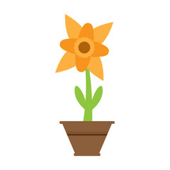 Cute flower on a pot