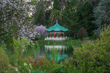 Golden Gate Park