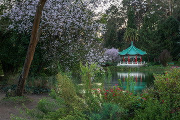 Fototapeta premium Golden Gate Park