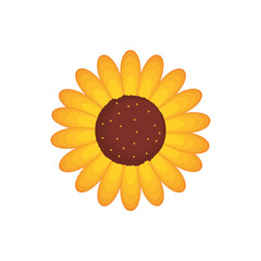 flower  vector illustration