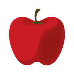 red pepper  vector illustration
