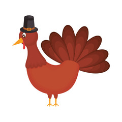 turkey  vector illustration