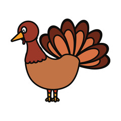 turkey  vector illustration