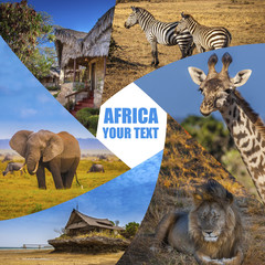 Travel to Africa. Animals of Africa. Poster from different animals. National parks of Kenya. Safari...