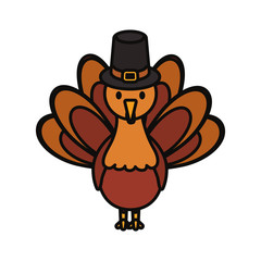 turkey  vector illustration