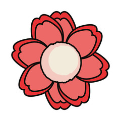 flower  vector illustration