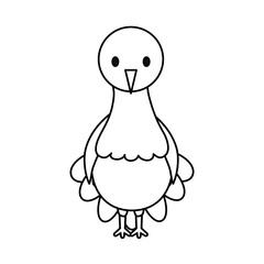 turkey  vector illustration