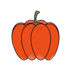 pumpkin icon image