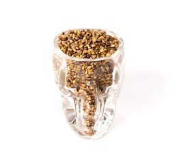 Hemp seeds in a small skull glass