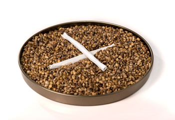 Medical and Recreational Marijuana