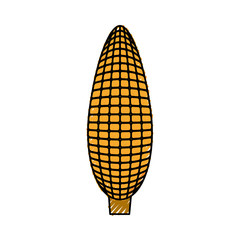 corn vegetable icon