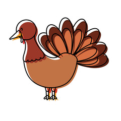 cartoon turkey icon