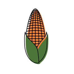 corn vegetable icon