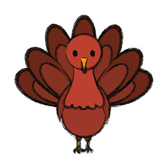 cartoon turkey icon
