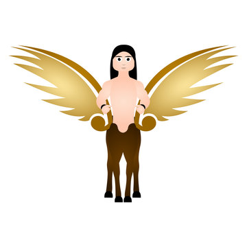 Winged centaur. Fantasy creature