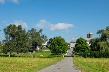Farm in the Countryside