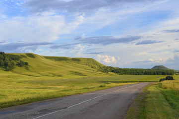 summer landscape