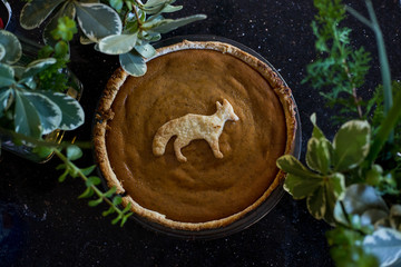 Homemade Pumpkin Pie with Fox crust cookie surrounded by foliage