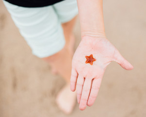 Girl holding tiny orange starfish in the palm of her hand on the beach
