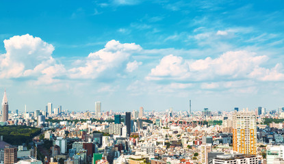 Naklejka premium View of the Shinjuku skyline from Shibuya, Tokyo, Japan