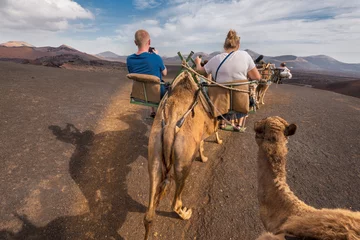 Poster Unidentifiable tourist riding Camels in volcanic landscape in Timanfaya national park, Lanzarote, Canary islands, Spain. © herraez