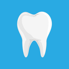 Single White and Healthy Tooth iSolated on Blue 
