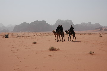 Déplacement en chameaux dans le Wadi Rum, Jordanie