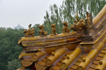 China 34