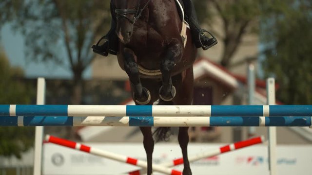 Horse jumping over obstacle 