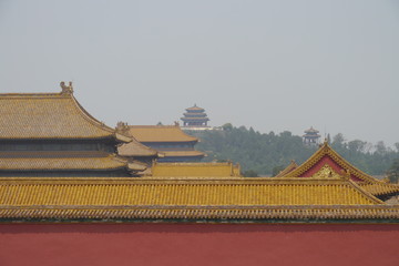 China 20