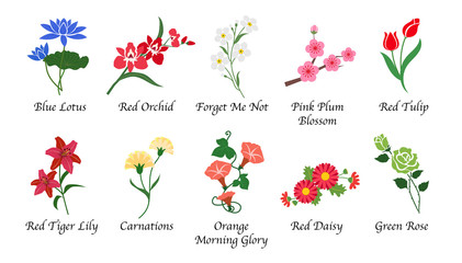 Organic nature botanic garden flower isolated vector collection set