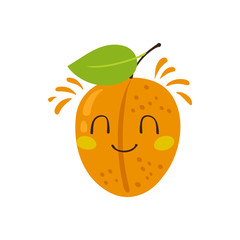 Vector apricot character