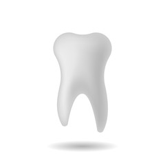 Vector image of a realistic tooth with shadows on a white background