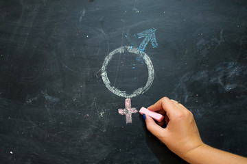 Gender symbols or signs for the male and female sex drawn on a blackboard