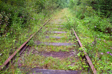The old railroad tracks of the Valdai-Krattsy line. Krestetsky District, Novgorod Region Russia. Was built in 1914-1916
