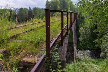 Viaduct across the river Yaryngya. Krestetsky District, Novgorod Region Russia