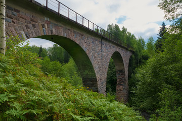 Fototapeta na wymiar Viaduct across the river Yaryngya. Krestetsky District, Novgorod Region Russia