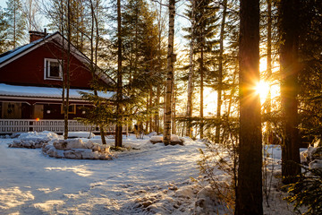 Winter landscape - house is in the woods at sunset