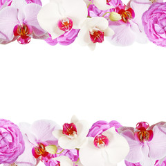 Fototapeta na wymiar Beautiful floral background of roses and orchids 
