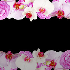 Beautiful floral background of roses and orchids 