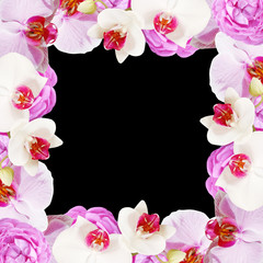 Beautiful floral background of roses and orchids 