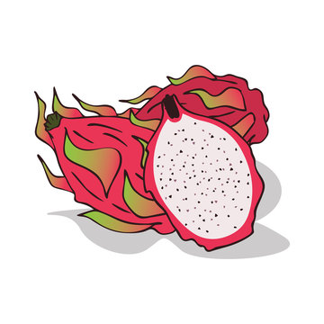Isolate ripe pitaya or pitahaya on white background. Close up clipart with shadow in flat realistic cartoon style. Hand drawn icon