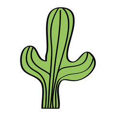 Obraz premium cactus desert plant decorative natural vector illustration