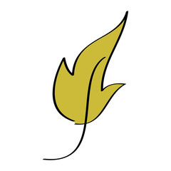 Obraz premium leaf foliage botany frond natural icon vector illustration