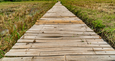 Obraz premium Bamboo footbridge